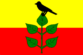 Flag of Alojzov, Olomouc Region