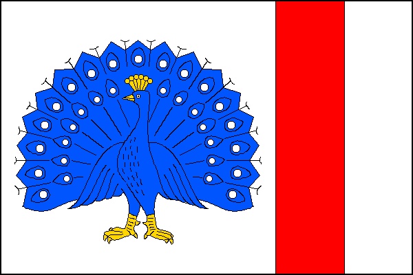 Flag of Bedihošť, Olomouc Region