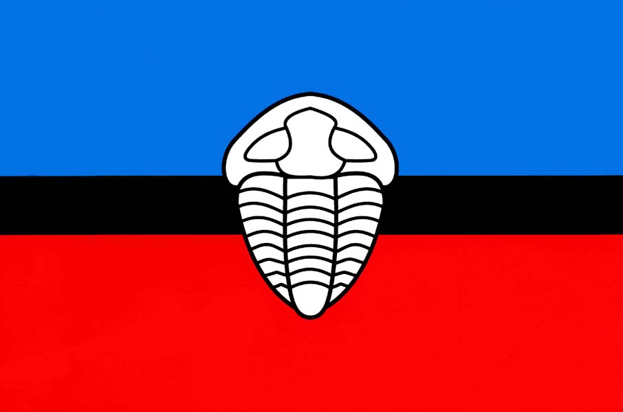 Flag of Běřín, Central Bohemian Region