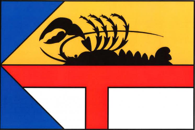 Flag of Bohy, Plzeň Region