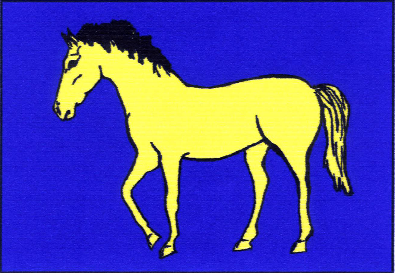 Flag of Borač, South Moravian Region