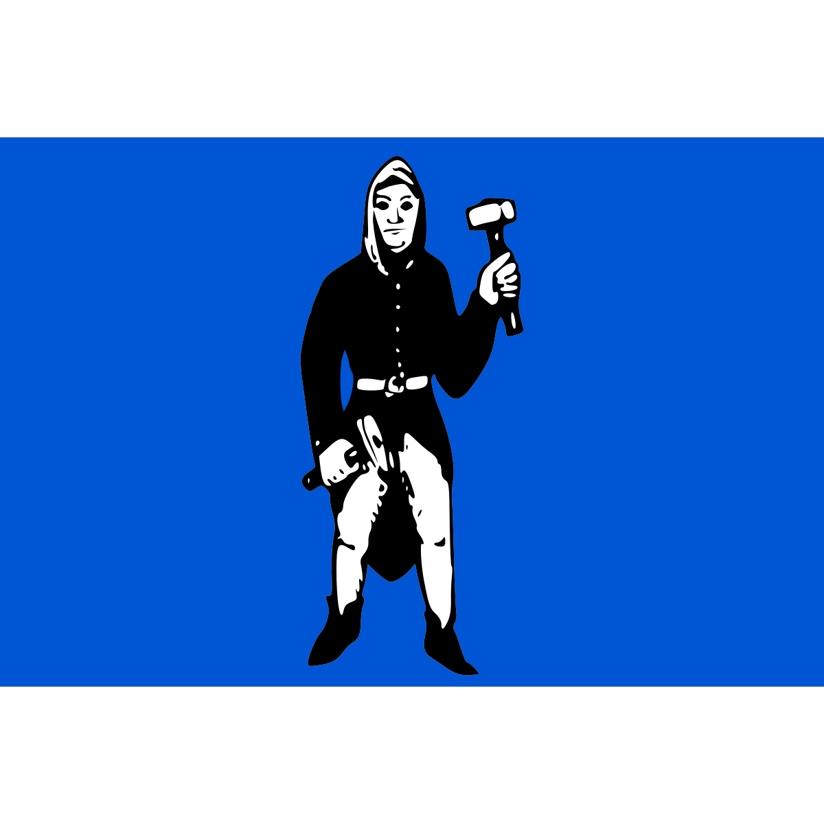 Flag of Borovec, Vysočina Region