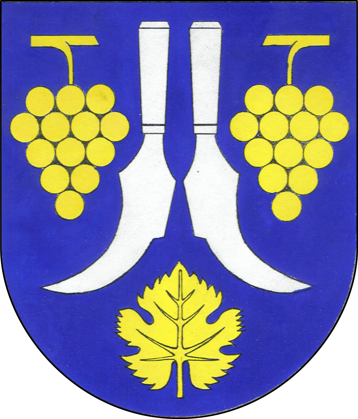 Coat of arms of Boršice, Zlín Region