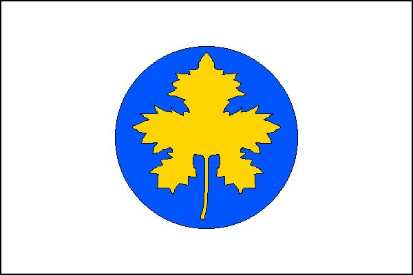 Flag of Boršice, Zlín Region