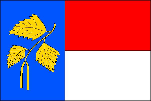 Flag of Březnice, Zlín Region