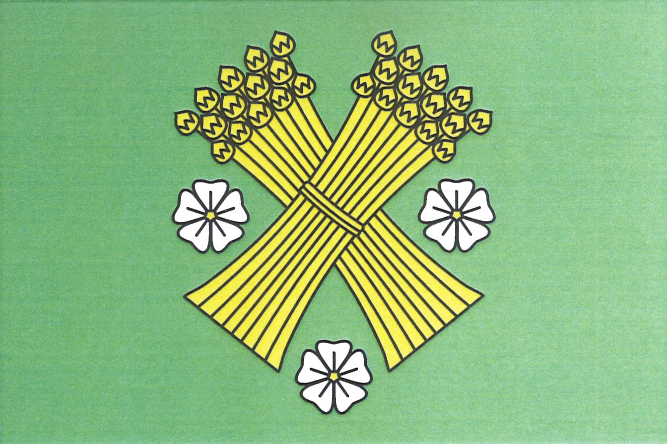Flag of Brzice, Hradec Králové Region