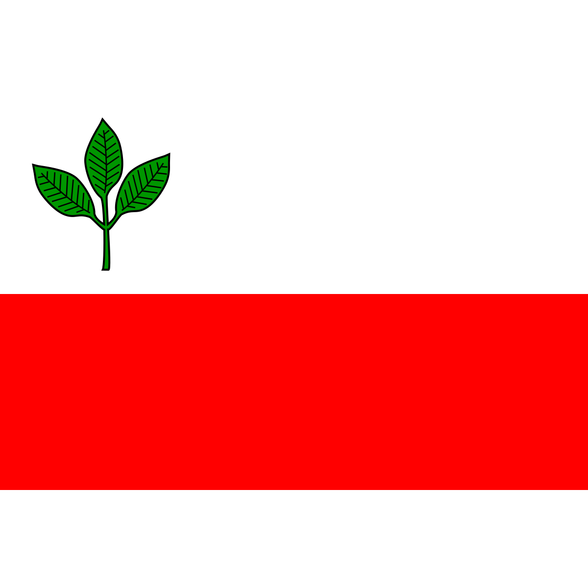 Flag of Bučina, Pardubice Region