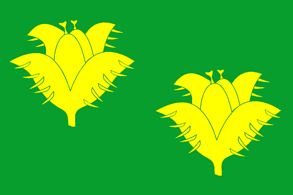 Flag of Bukvice, Hradec Králové Region