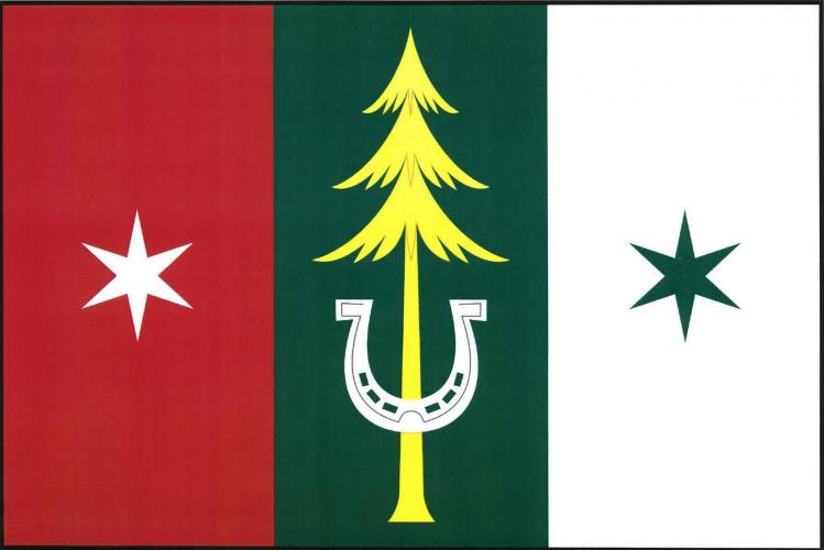 Flag of Bušín, Olomouc Region