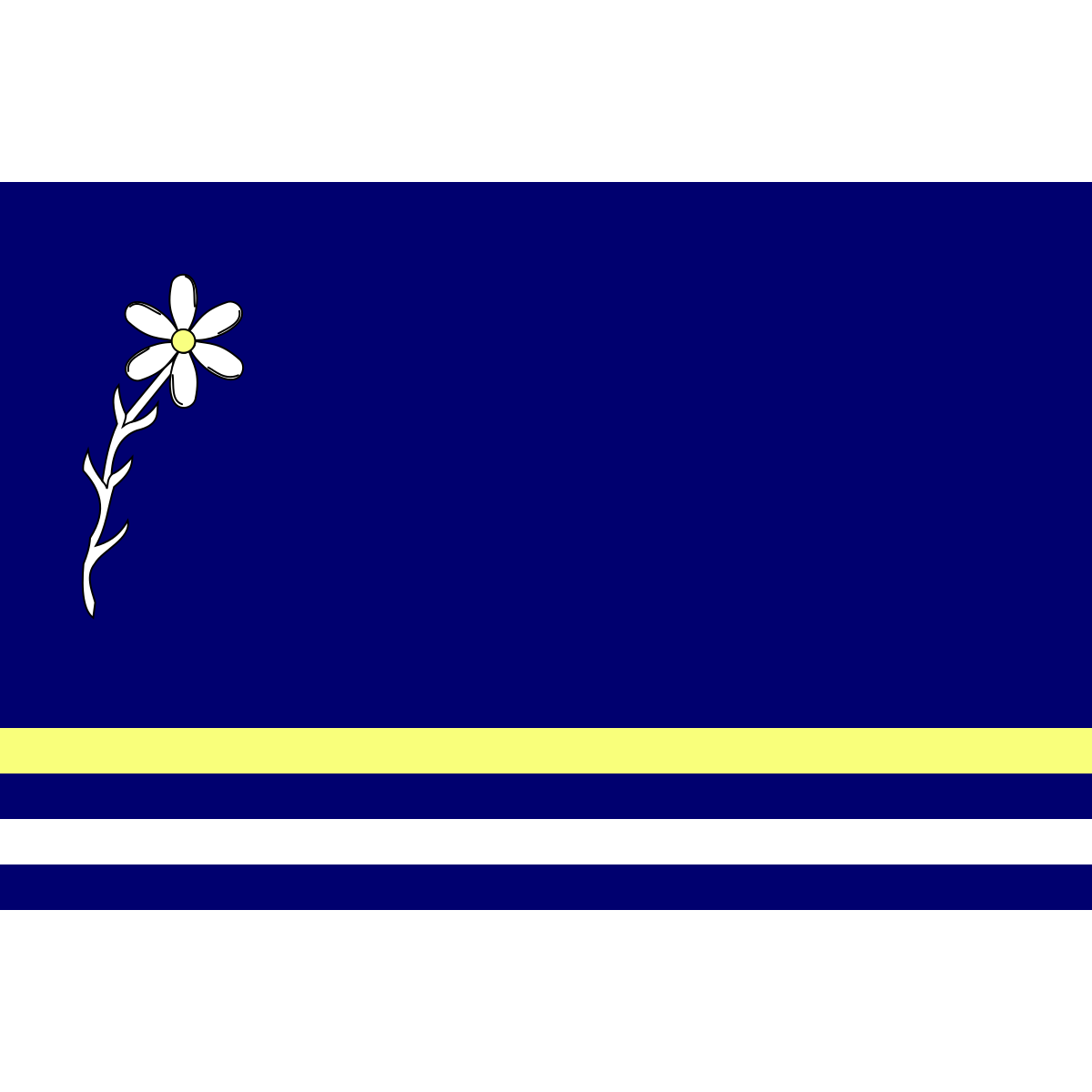Flag of Častohostice, Vysočina Region