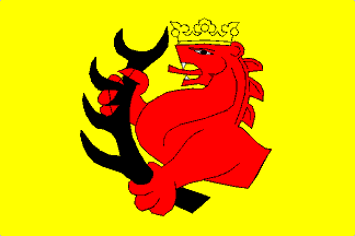Flag of Cebiv, Plzeň Region