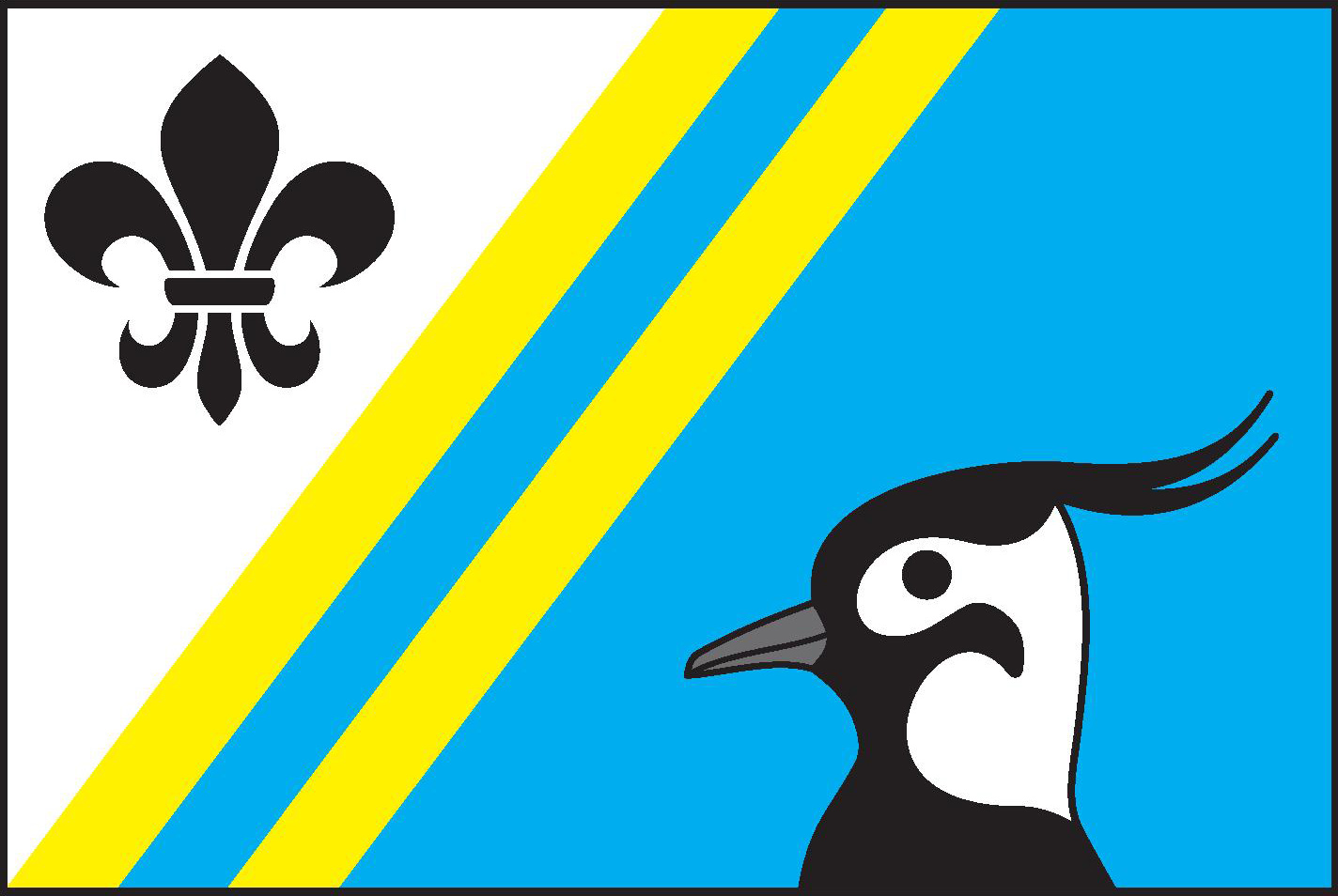 Flag of Čejkovice, South Bohemian Region