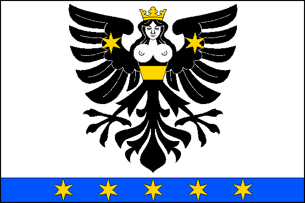 Flag of Čejov, Vysočina Region