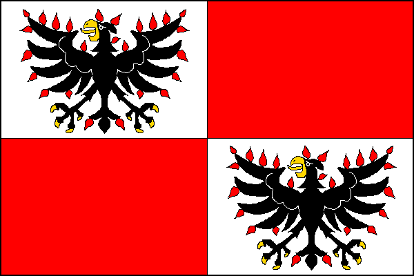 Vlajka obce Černětice, kraj Jihočeský kraj