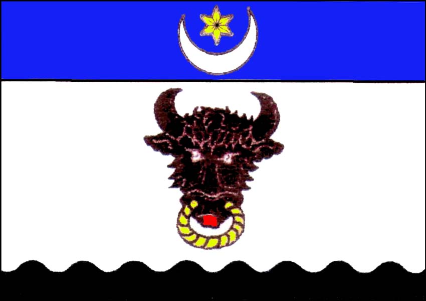 Flag of Černvír, South Moravian Region