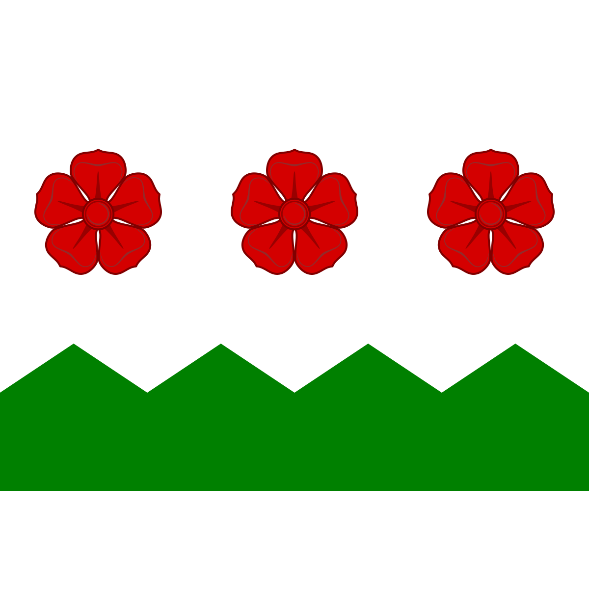 Flag of České Chalupy, South Bohemian Region