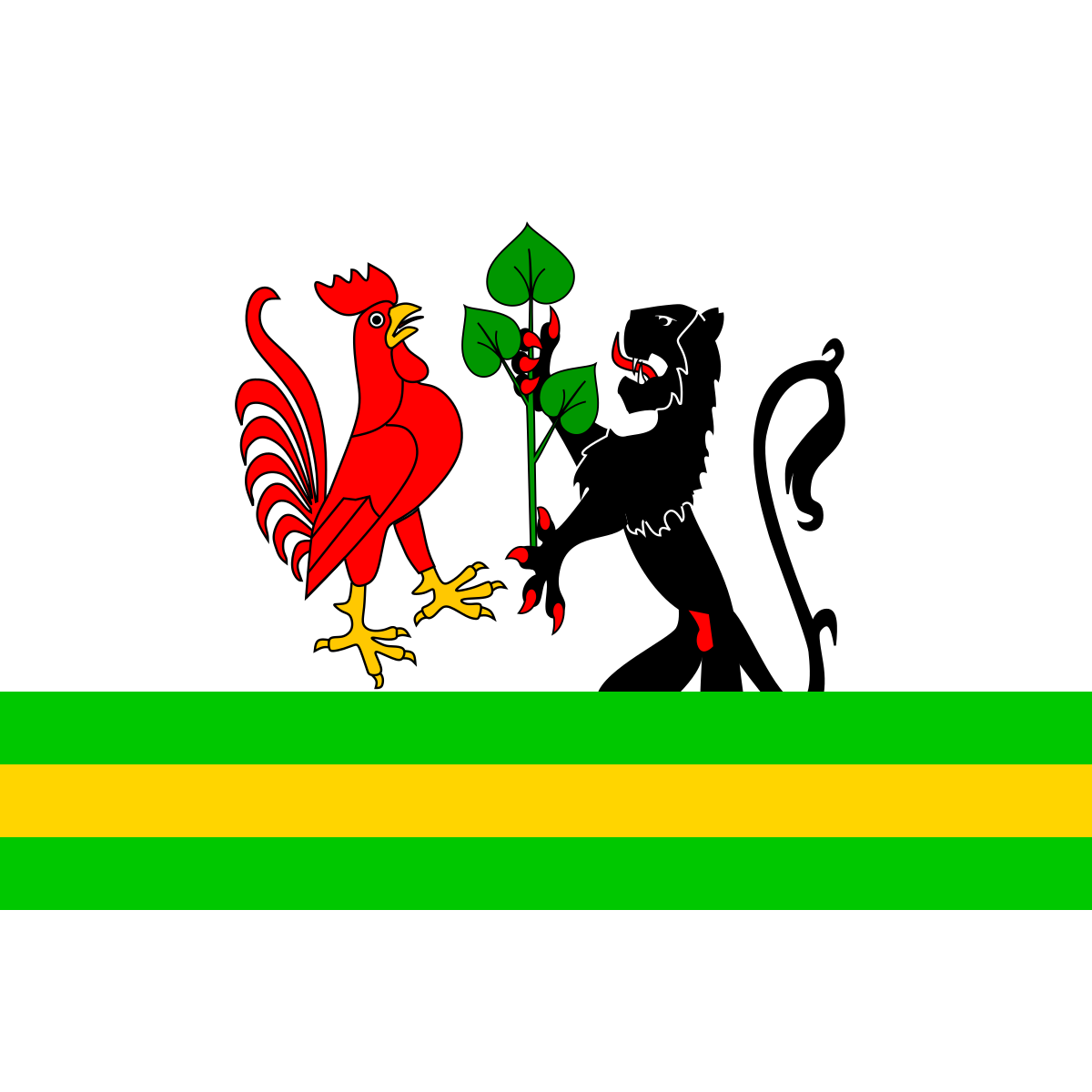 Flag of České Libchavy, Pardubice Region