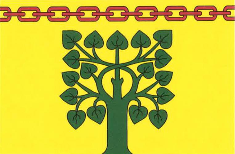 Flag of Cetenov, Liberec Region