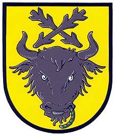 Coat of arms of Chroustov, Vysočina Region