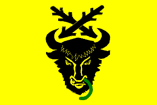 Flag of Chroustov, Vysočina Region