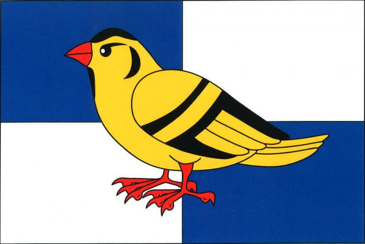 Flag of Čížkov, Vysočina Region
