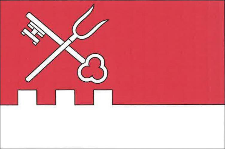 Flag of Dolní Cerekev, Vysočina Region