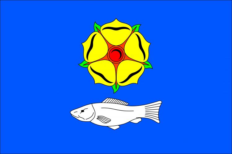 Flag of Dolní Kralovice, Central Bohemian Region