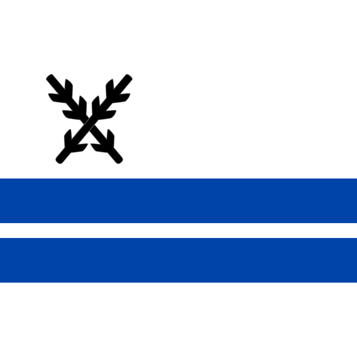Flag of Dolní Krupá, Vysočina Region