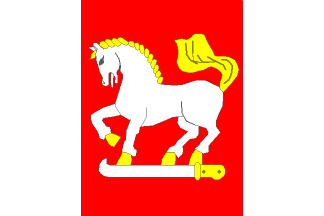 Flag of Dolní Nětčice, Olomouc Region