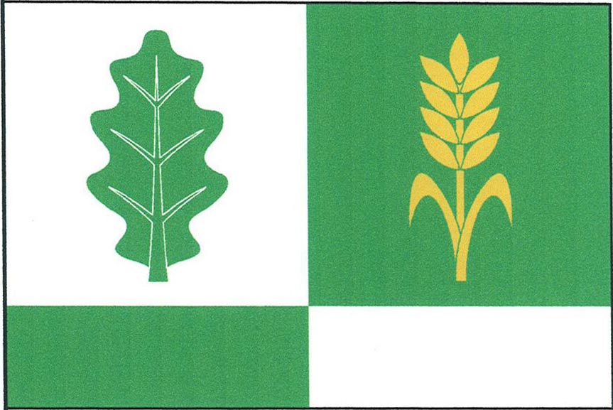 Flag of Doubravčice, Central Bohemian Region