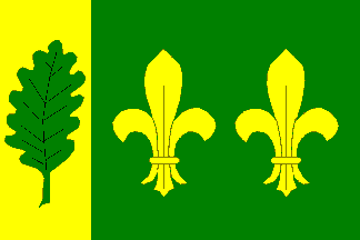 Flag of Dub nad Moravou, Olomouc Region