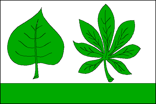 Flag of Dvůr, Vysočina Region