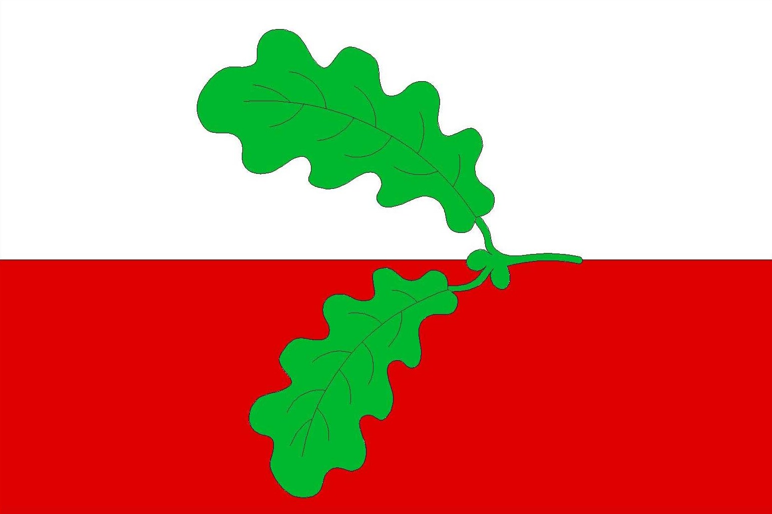 Flag of Hořešovice, Central Bohemian Region