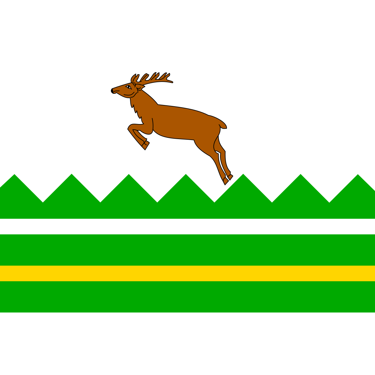 Flag of Horní Lažany, Vysočina Region