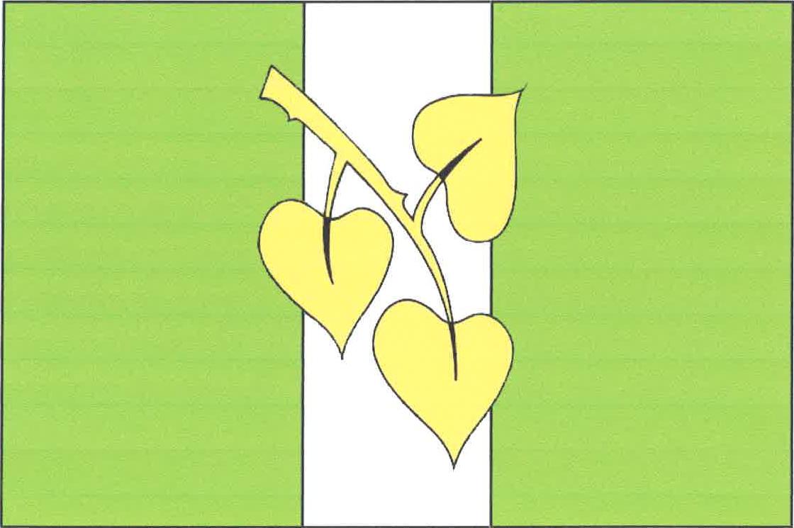 Flag of Jankovice, Pardubice Region