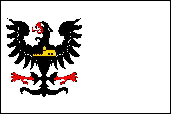 Flag of Kočí, Pardubice Region