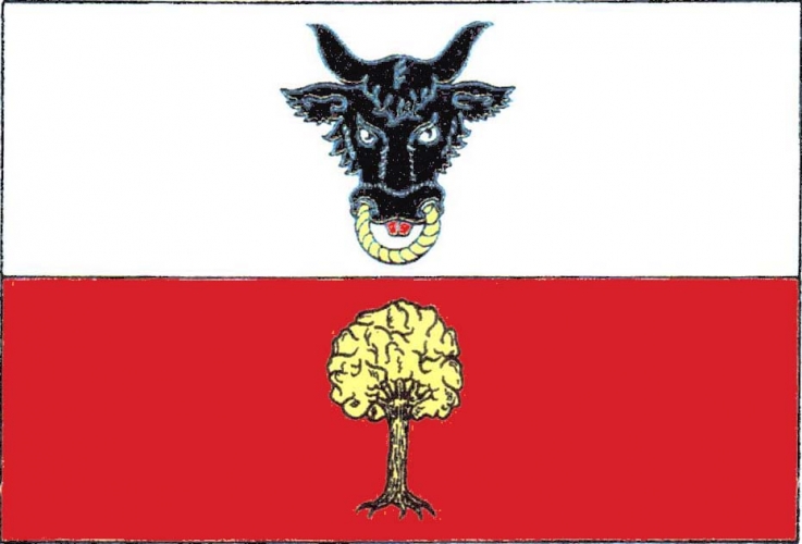 Flag of Kovářová, Vysočina Region