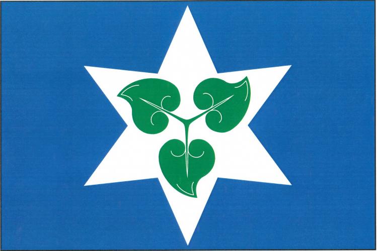 Flag of Krasíkovice, Vysočina Region