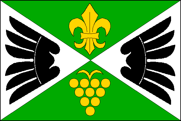 Flag of Lechovice, South Moravian Region