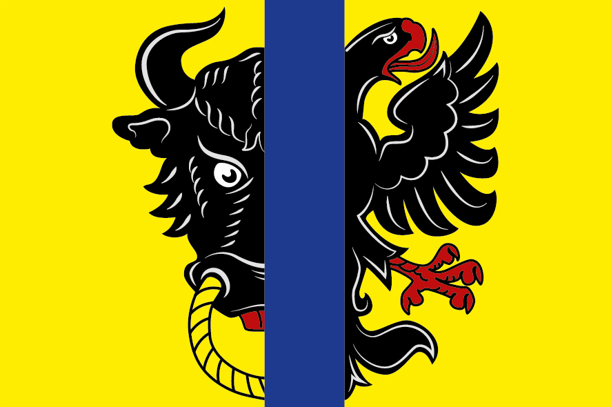 Flag of Lesoňovice, Vysočina Region
