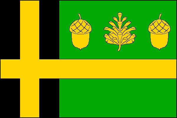 Flag of Leština, Pardubice Region
