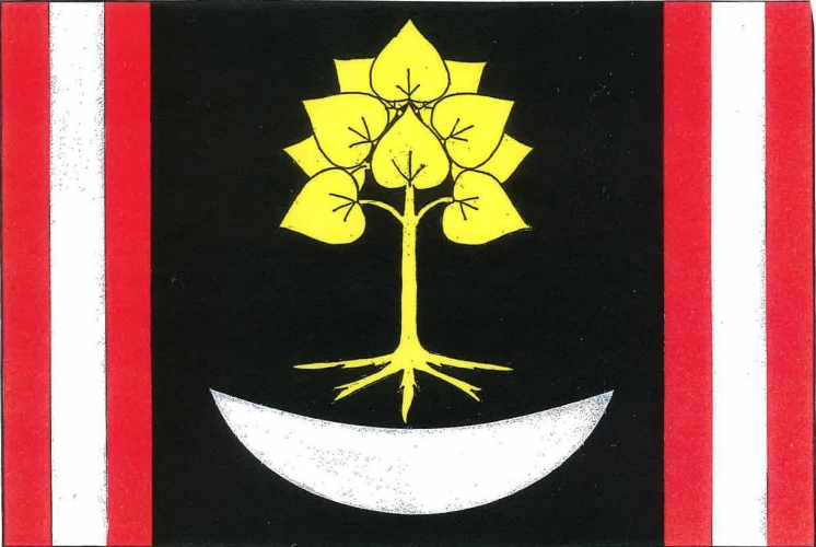 Flag of Lhotice, Vysočina Region