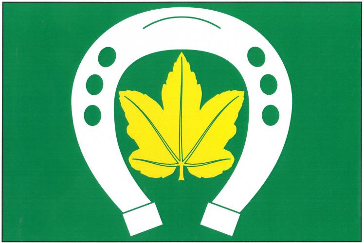 Flag of Libecina, Pardubice Region
