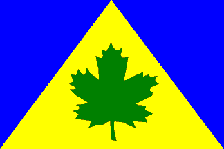 Flag of Libín, Hradec Králové Region