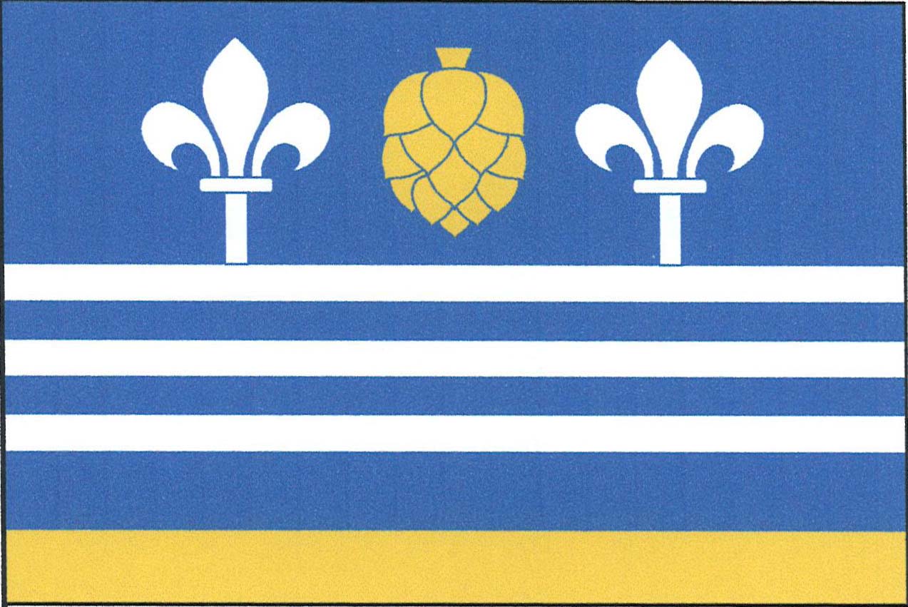 Flag of Libovice, Central Bohemian Region