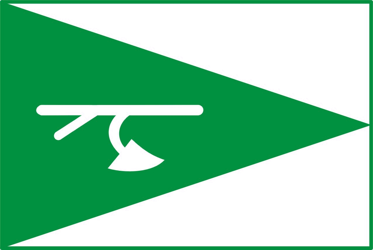 Flag of Lichnov, Moravian-Silesian Region