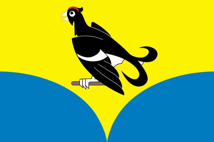 Flag of Malý Přívrat, Pardubice Region