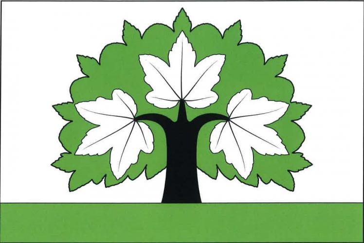 Flag of Minkovice, Liberec Region