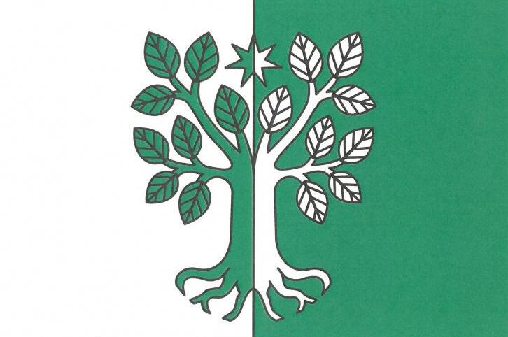 Flag of Nelepeč-Žernůvka, South Moravian Region