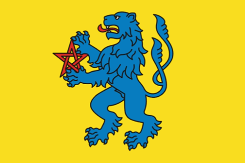Flag of Nepomuky, Vysočina Region